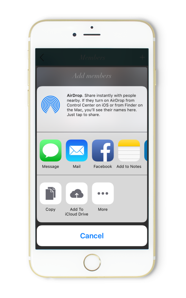 Apple share menu options