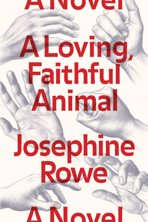 A_loving_faithful_animal